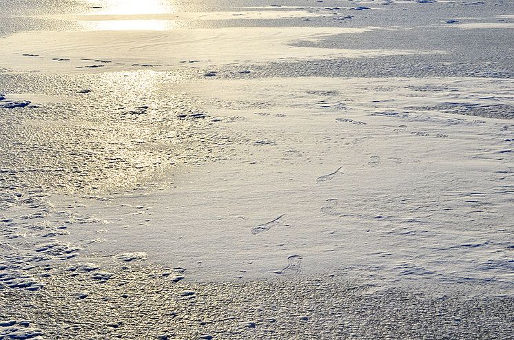 46182821-structure-of-snow-and-ice-on-frozen-lake-winter