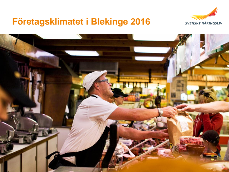 Företagsklimatet i Blekinge 2016