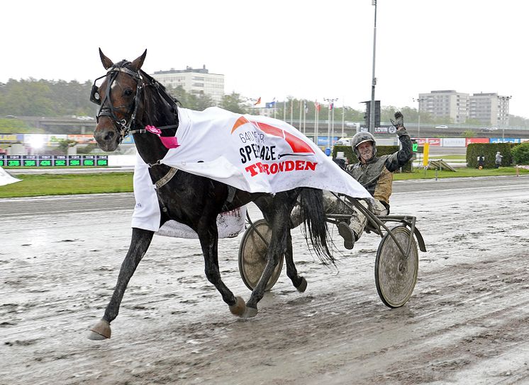 M.T.Insider efter segern i Speedrace 2019 på Solvalla. 