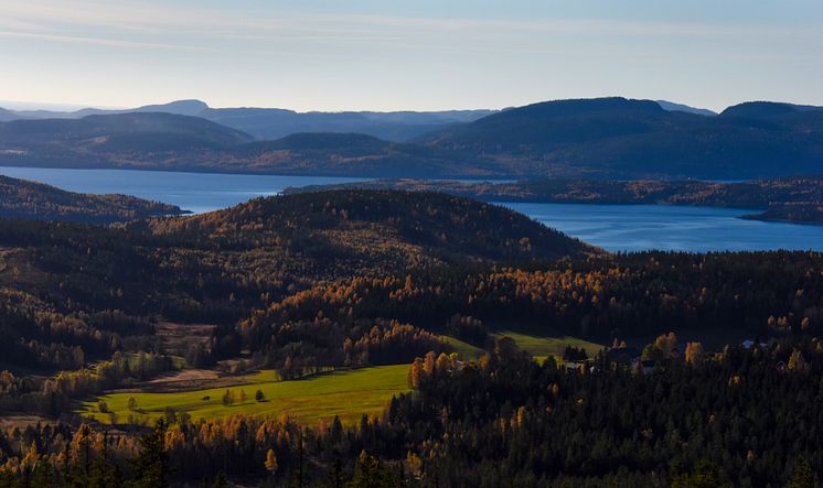 HögaKusten-Höst-19