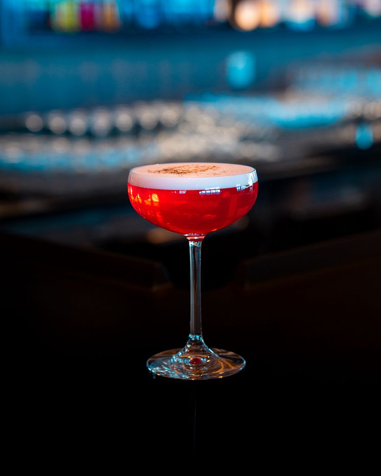 Melonberry Sour Cocktail 2.JPG