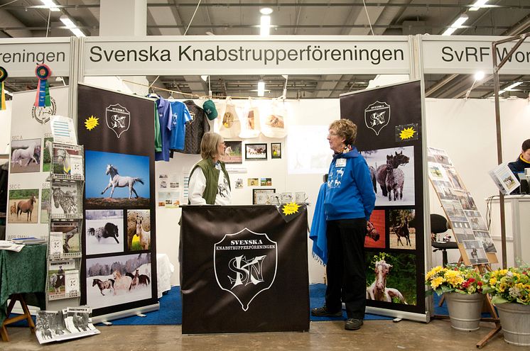 EuroHorse Stand 5