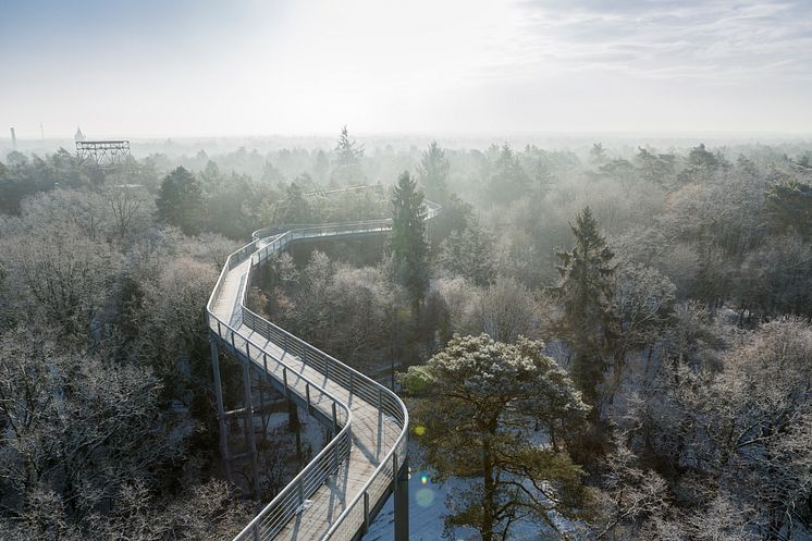 Baumkronenpfad Beelitz-Heilstätten