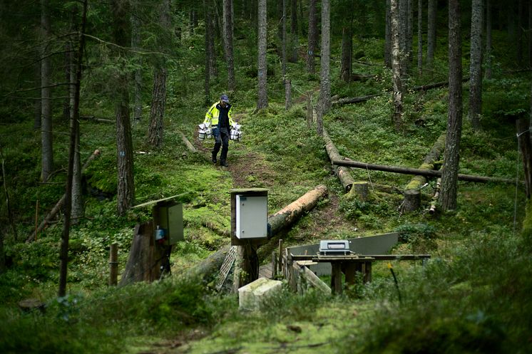 Provtagning i Gårdsjön, Filip Moldan