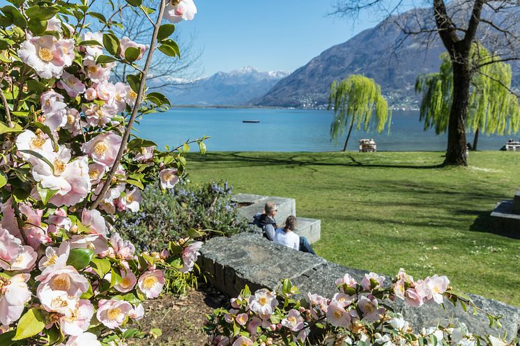 KamelienparkLocarno(c)AsconaLocarnoTourism_AlessioPizzicannella
