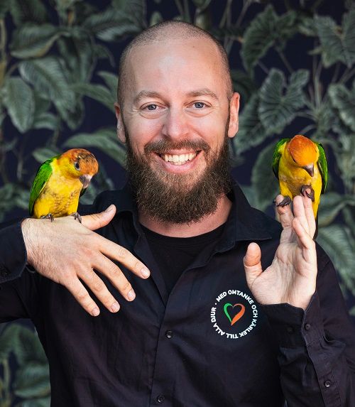 DanielCederholm_Zoogiganten