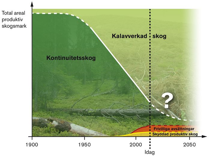 Utvecklingen efter trakthyggesbrukets införande.