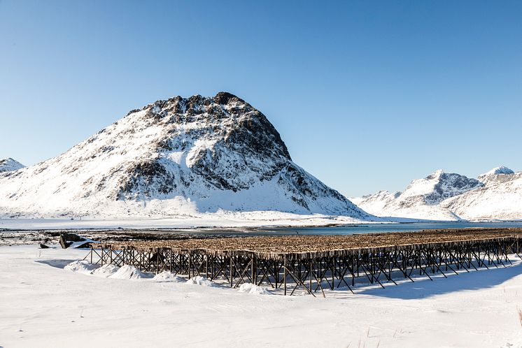 Lofoten og tørrfiskhjell