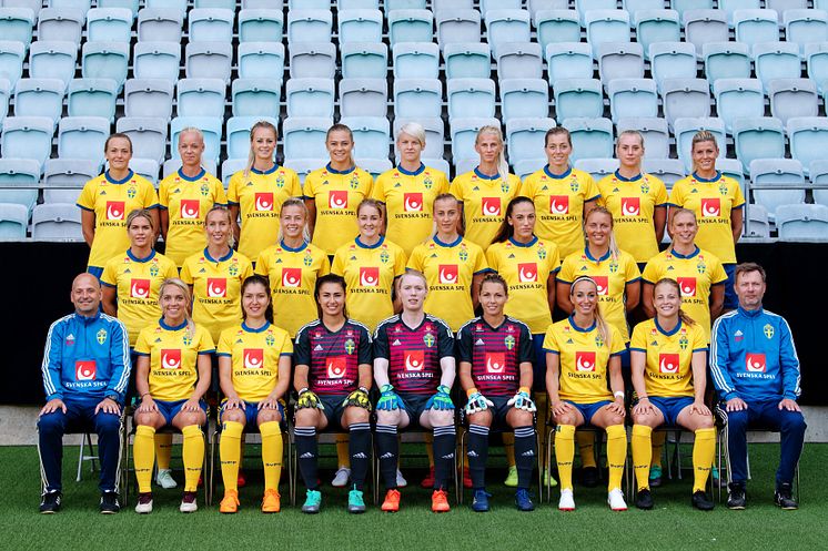 Svenska damlandslaget i fotboll 2018-2019
