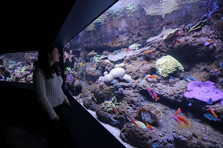 1 - Aquarium im Zoo Leipzig - Foto Andreas Schmidt.jpg