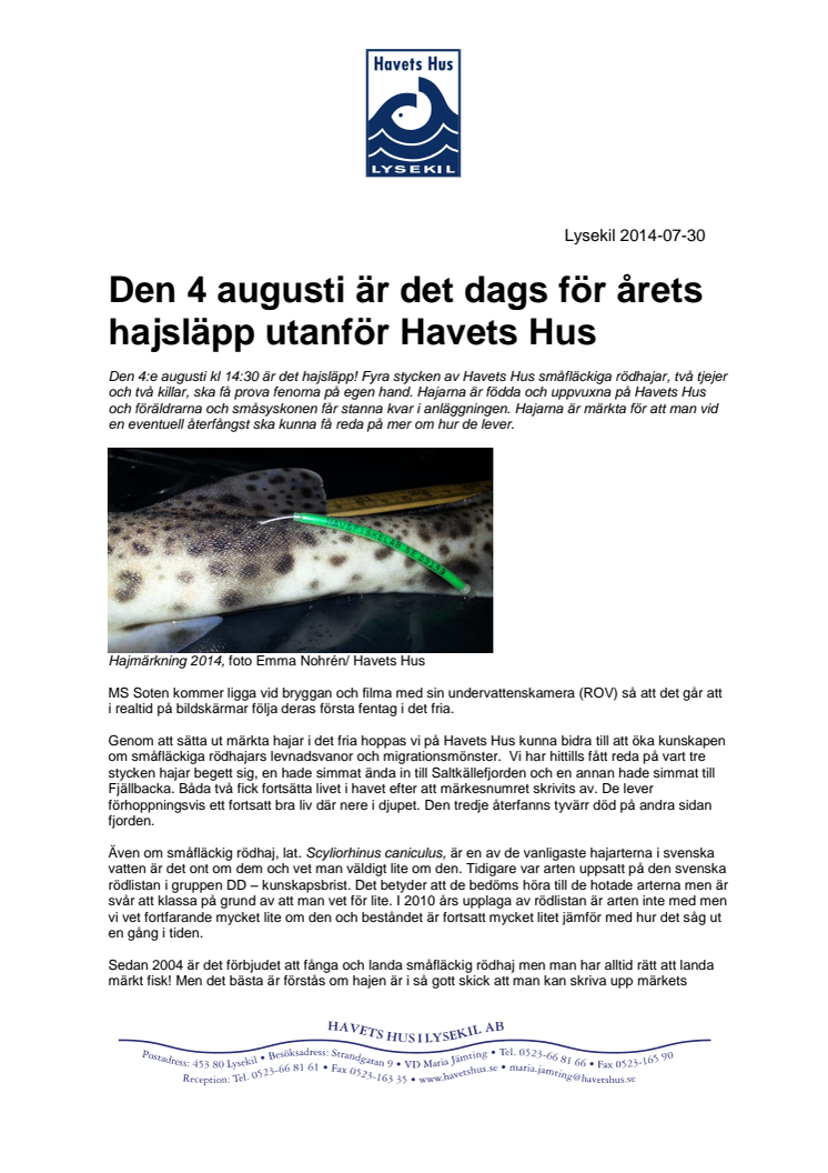 Den 4 augusti är det dags för årets hajsläpp utanför Havets Hus 