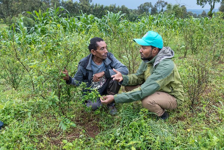 Ethiopia Machakel Alemayehu Gachow © Johannes Odé - The Hunger Project 2019 (4) - kopie