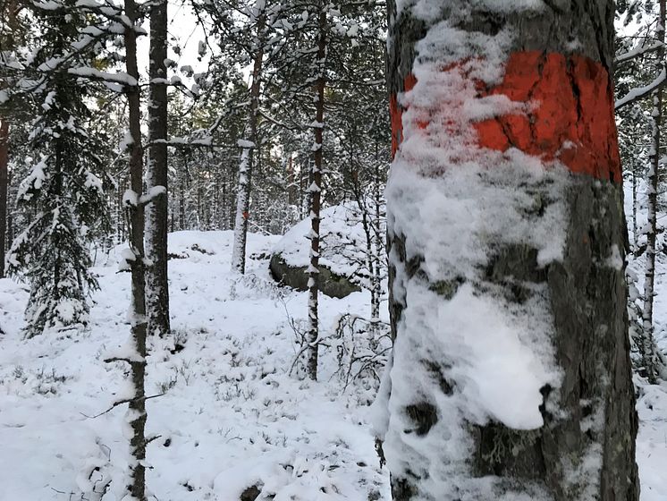 sörmlandsleden-mikael-andersson