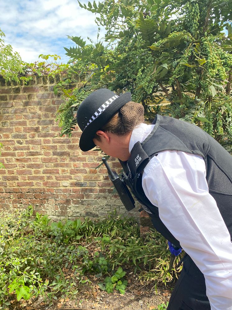 Officer during weapons sweep.JPG