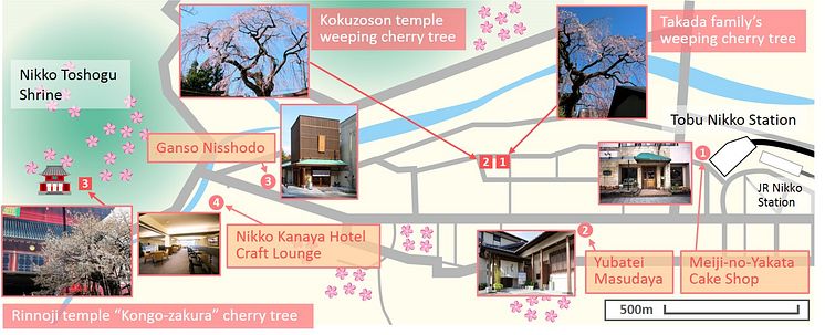 Nikko Cherry Tree MAP