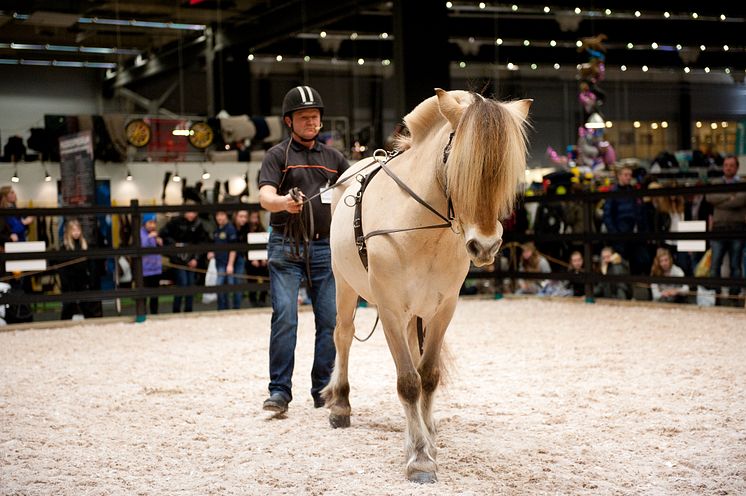 EuroHorse 2012