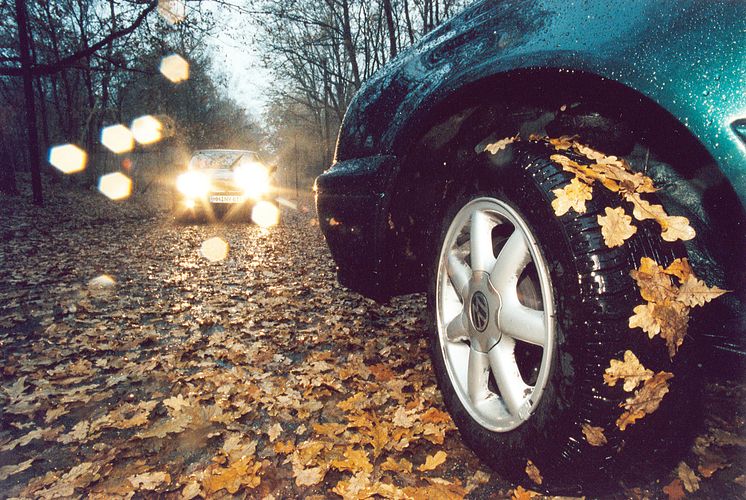 Herbst-Check fürs Auto sinnvoll