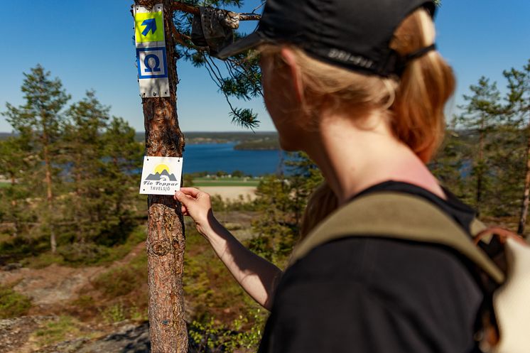 Vandring Tavelsjö Tio Toppar