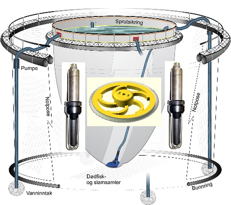the aculice system