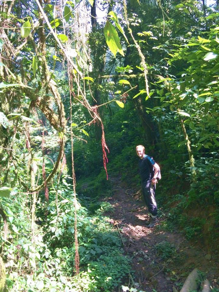 Collecting Seedlings 