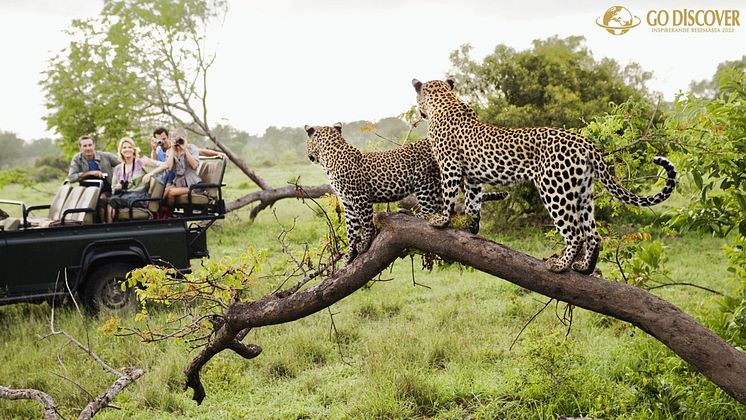 leoparder jeep