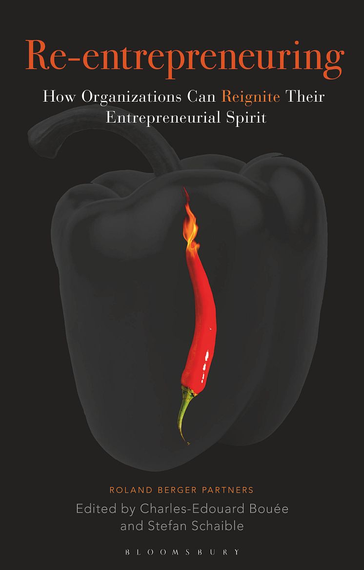 Cover: Re-entrepreneuring