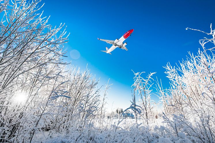 Avión en paisaje nevado
