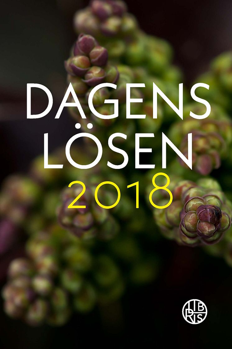 Dagens losen 2018