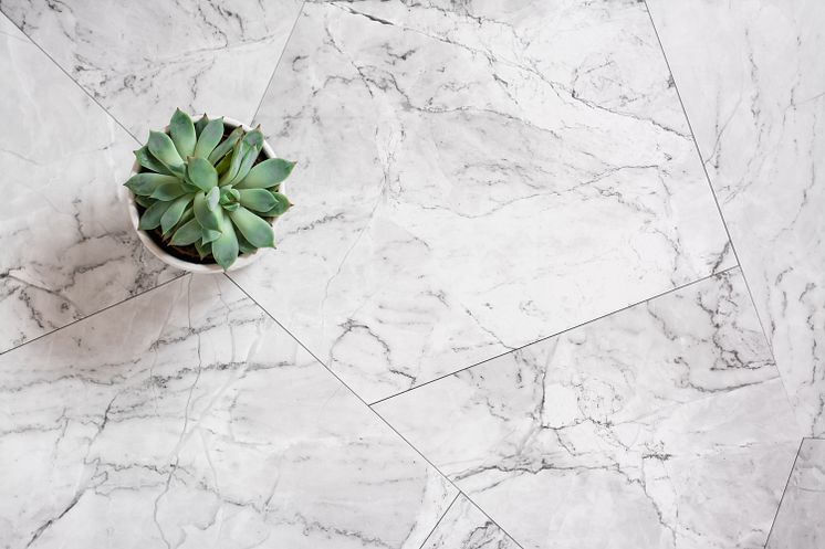 succulent-in-a-pot-on-a-marble-tile-scandinavian-2022-05-25-09-19-21-utc