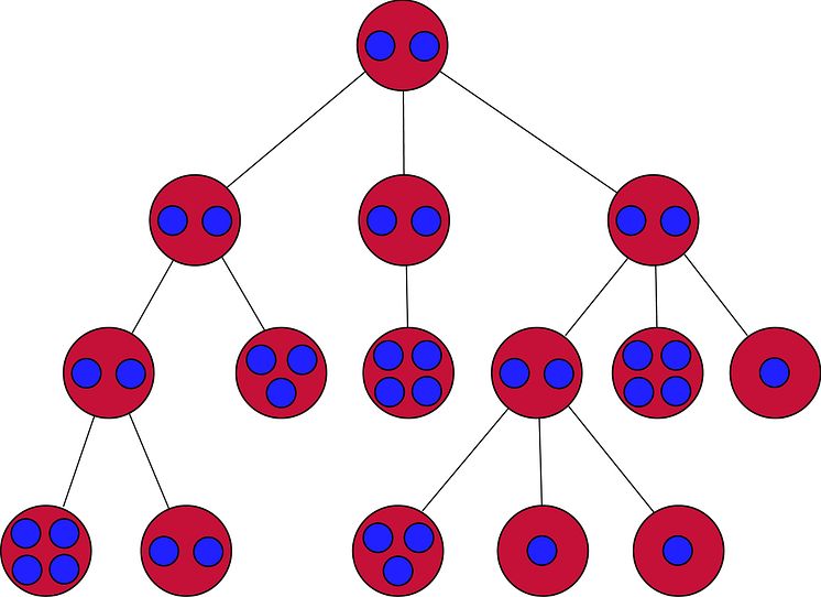 pm_matematiska träd