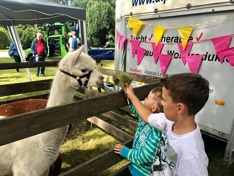 Tag der offenen Tür im Kinderhospiz: Bärenherz-Familienfest lockt mehr als 1.500 Besucher in den Kees’schen Park