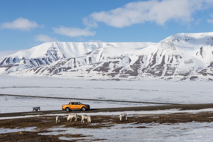 Ford Ranger Svalbard