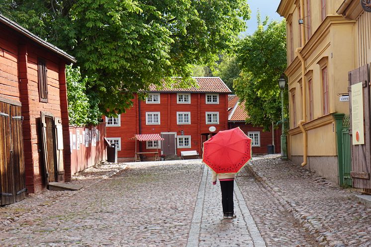 Friluftsmuseet Gamla Linköping