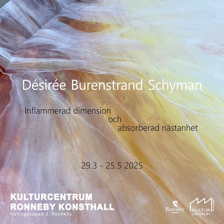 Banner Désirée Burenstrad Schyman.jpg