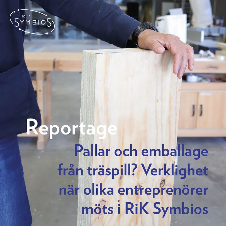 reportage_2024_RIK-Symbios_kvadratiskt.jpg