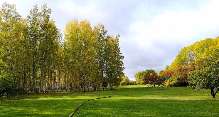 En park i världsklass