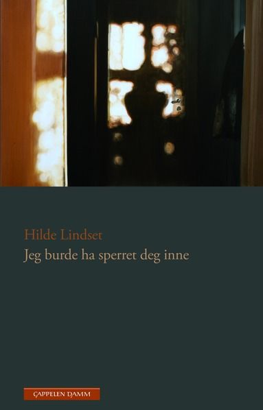 Omslag Jeg burde ha sperret deg inne