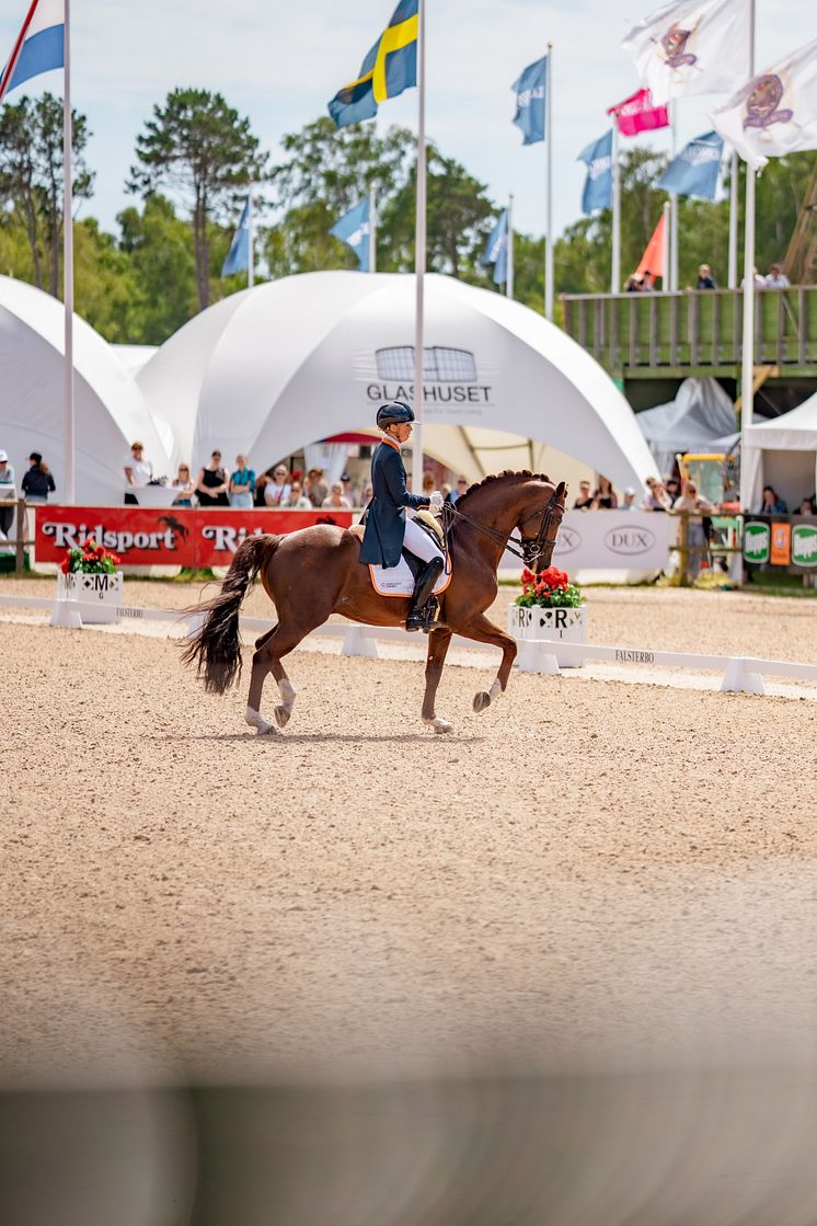 Falsterbo dressyr 2022