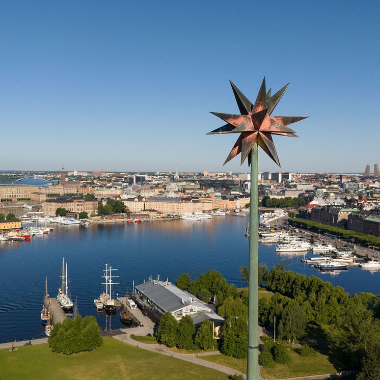 Kungliga Djurgården från ovan