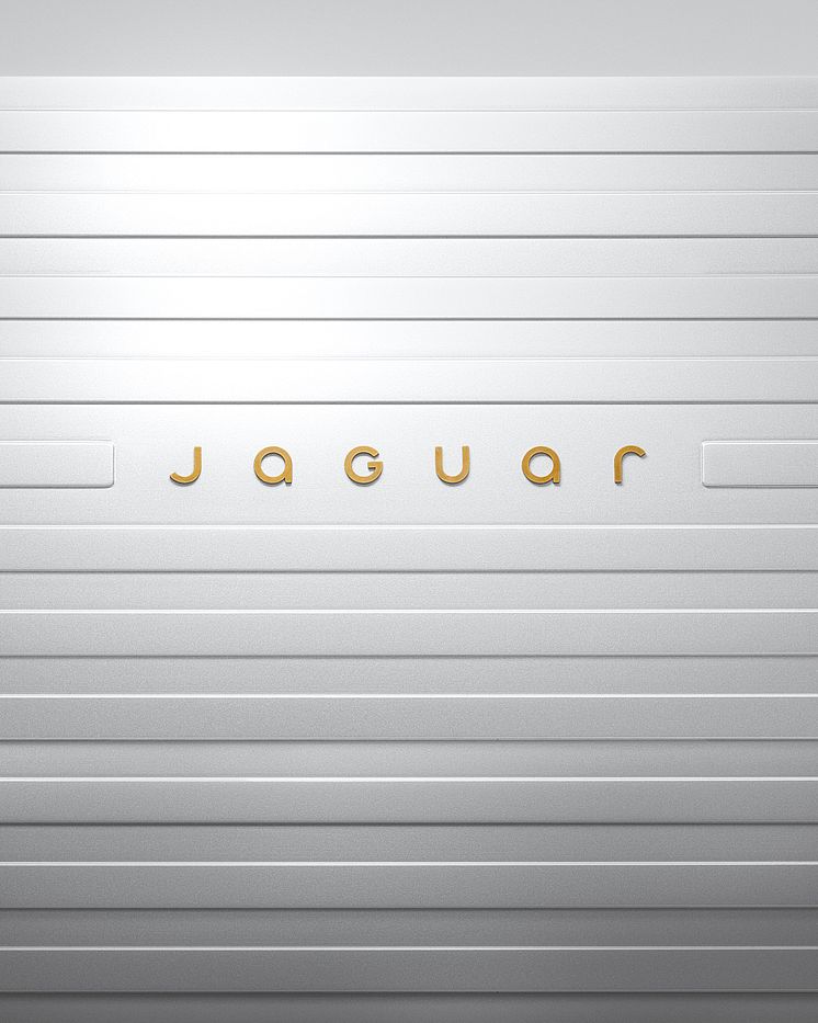 JAGUAR_DEVICE_MARK_4X5_191124.jpg