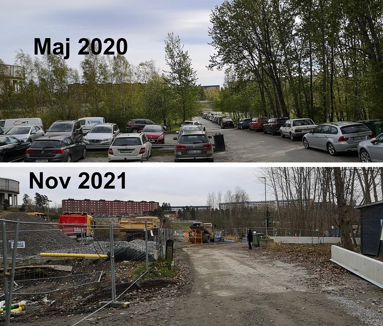 Parkens entré 2020 och 2021