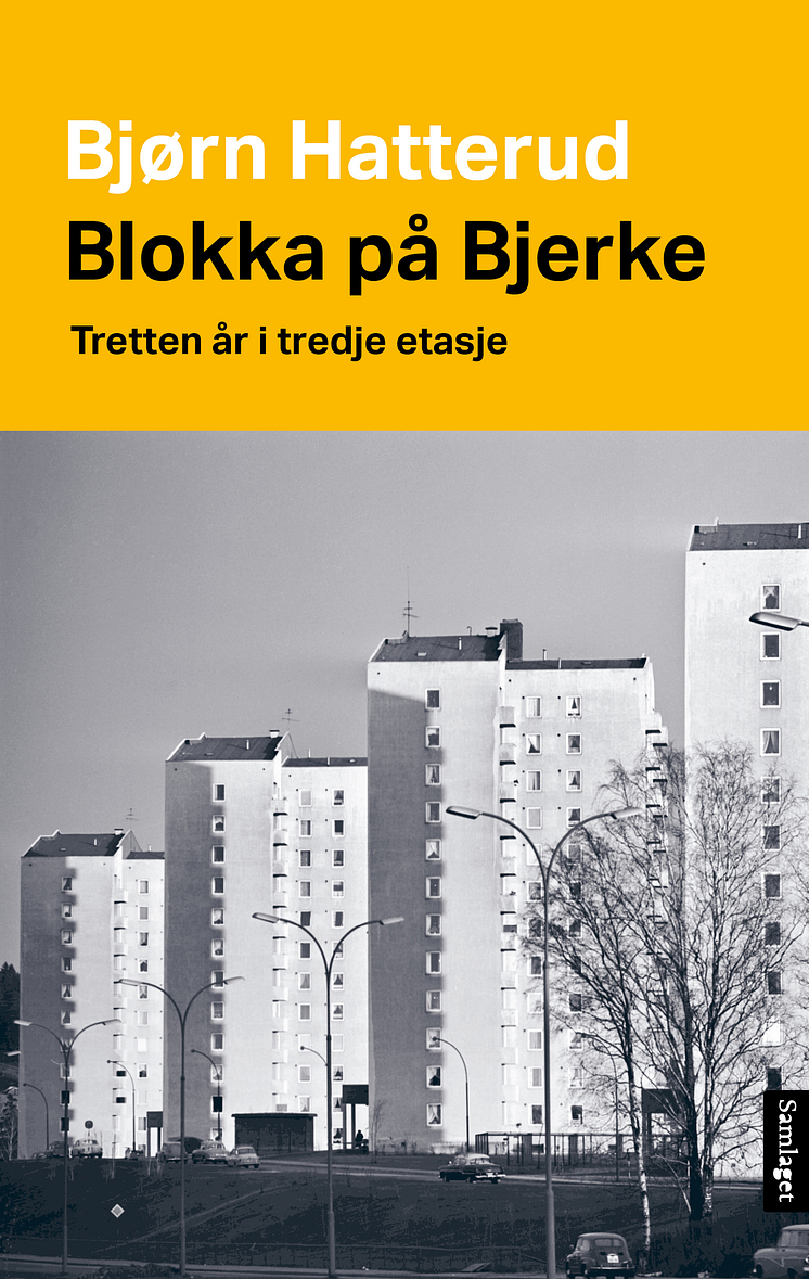 Blokka på bjerke