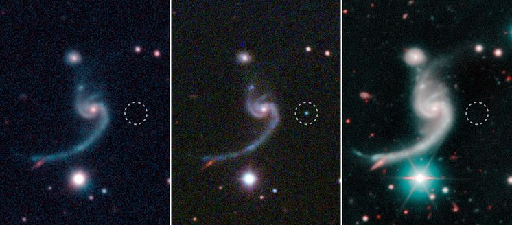 Före, under och efter att den svaga supernovan iPTF14gqr (inringad) dök upp i utkanten av en spiralgalax 920 miljoner ljusår bort. Foto: SDSS/Caltech/Keck.