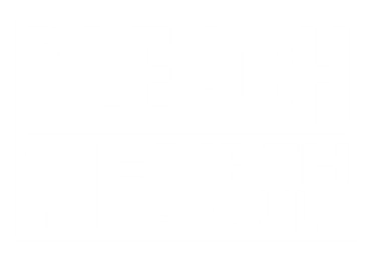 Bleach_Logo_White.png
