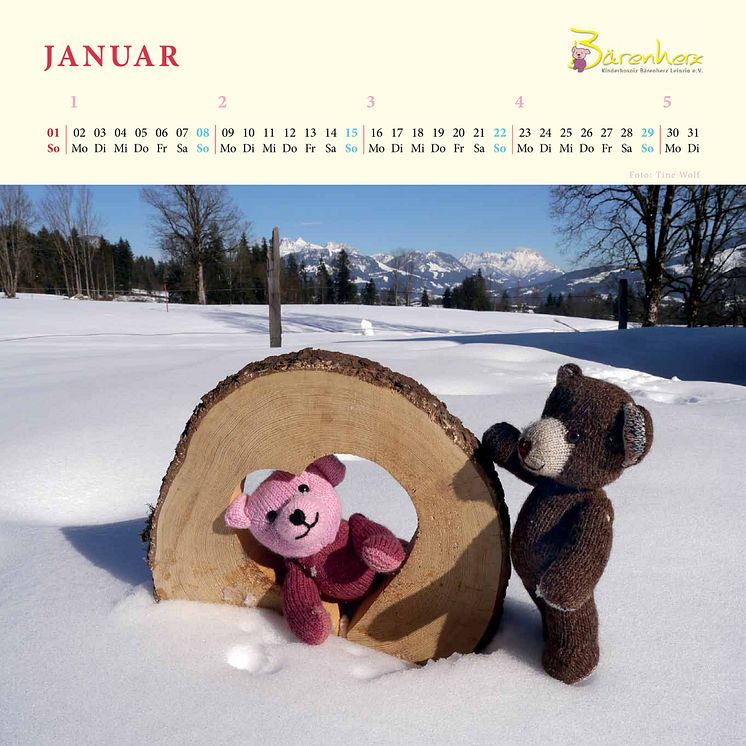 Mit Bärenherz durchs Jahr -  Der neue Bärenherz-Kalender ist da