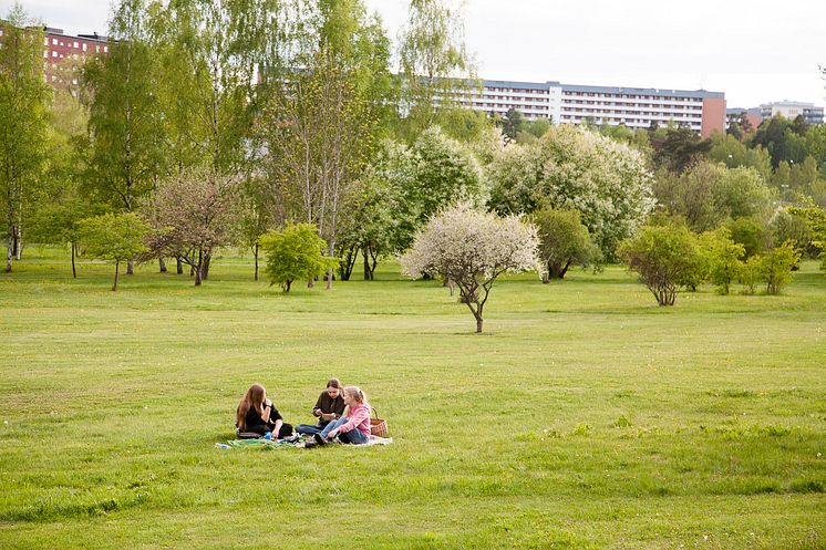 Järva DiscGolfPark före 2021