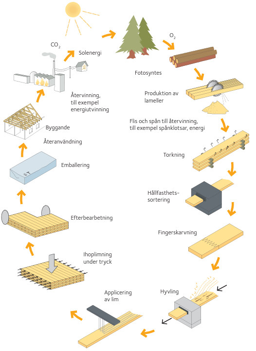 Schematisk bild över KL-träproduktion