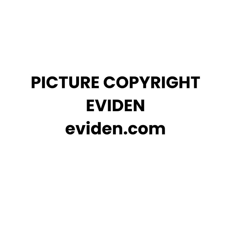 PICTURE COPYRIGHT EVIDEN.jpg