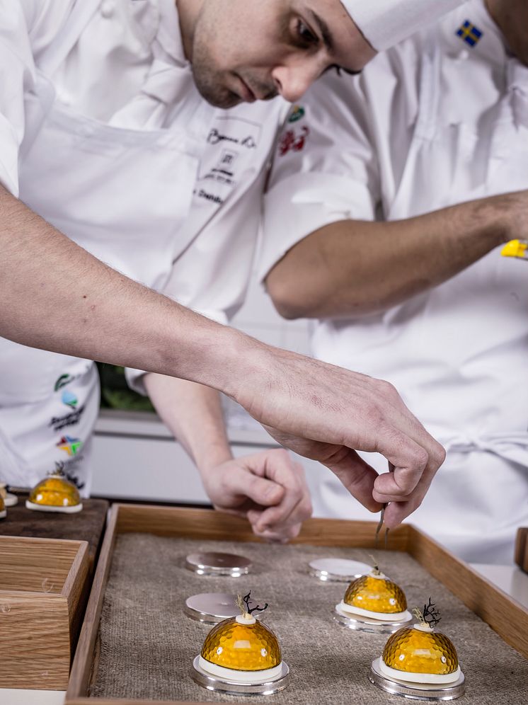 Adam Dahlberg Bocuse d'Or 2013