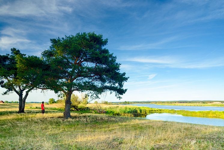 Schwedt_Oder_Schwedt_Nationalpark_Unteres_Odertal2